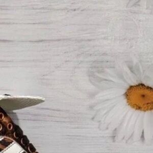 Meet your Posher, Shana